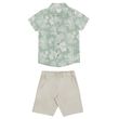BBB-45896-verde
