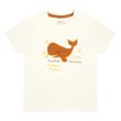 BBB-43645-off-white-2
