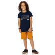BBB-46979-marinho