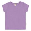 BBB-50051-lilas