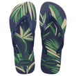 BBB-7004143-marinho.png